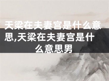 天梁在夫妻宫是什么意思,天梁在夫妻宫是什么意思男