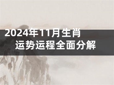 2024年11月生肖运势运程全面分解