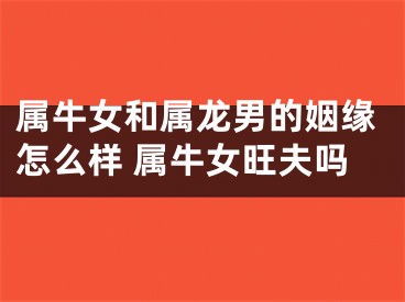 属牛女和属龙男的姻缘怎么样 属牛女旺夫吗