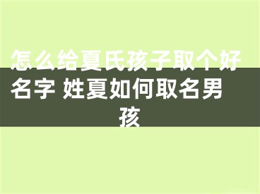 怎么给夏氏孩子取个好名字 姓夏如何取名男孩