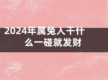 2024年属兔人干什么一碰就发财