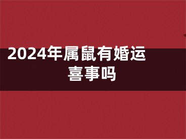 2024年属鼠有婚运喜事吗