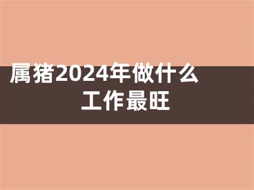 属猪2024年做什么工作最旺