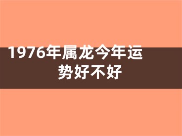 1976年属龙今年运势好不好