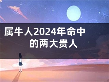属牛人2024年命中的两大贵人