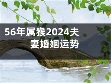 56年属猴2024夫妻婚姻运势