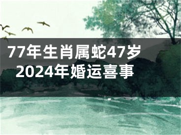 77年生肖属蛇47岁2024年婚运喜事