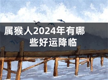 属猴人2024年有哪些好运降临