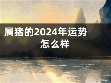 属猪的2024年运势怎么样