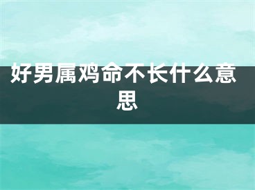 好男属鸡命不长什么意思