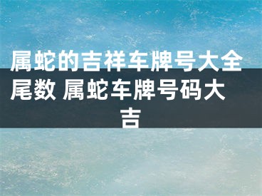 属蛇的吉祥车牌号大全尾数 属蛇车牌号码大吉