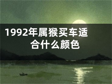 1992年属猴买车适合什么颜色