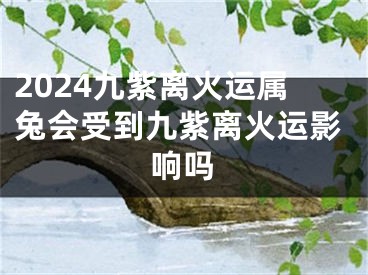 2024九紫离火运属兔会受到九紫离火运影响吗