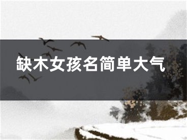 缺木女孩名简单大气