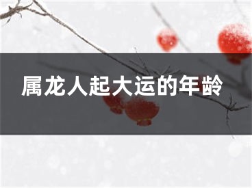 属龙人起大运的年龄