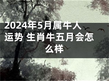 2024年5月属牛人运势 生肖牛五月会怎么样