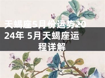 天蝎座5月份运势2024年 5月天蝎座运程详解
