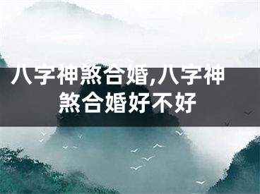 八字神煞合婚,八字神煞合婚好不好
