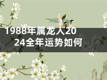 1988年属龙人2024全年运势如何