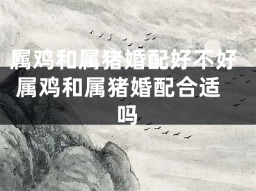 属鸡和属猪婚配好不好 属鸡和属猪婚配合适吗