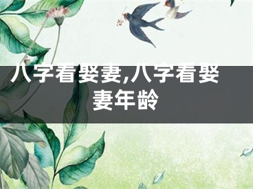 八字看娶妻,八字看娶妻年龄