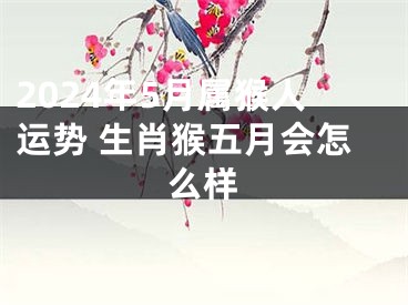 2024年5月属猴人运势 生肖猴五月会怎么样