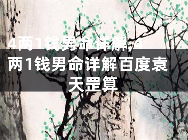 4两1钱男命详解,4两1钱男命详解百度袁天罡算