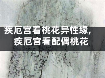 疾厄宫看桃花异性缘,疾厄宫看配偶桃花