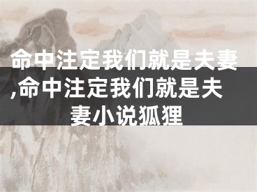 命中注定我们就是夫妻,命中注定我们就是夫妻小说狐狸