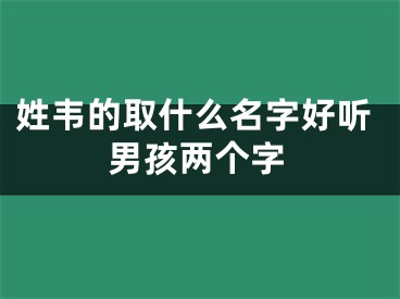 姓韦的取什么名字好听男孩两个字