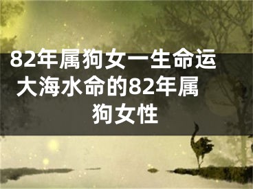 82年属狗女一生命运 大海水命的82年属狗女性