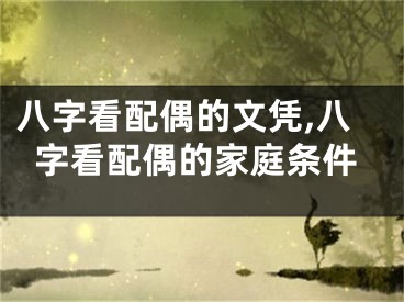 八字看配偶的文凭,八字看配偶的家庭条件