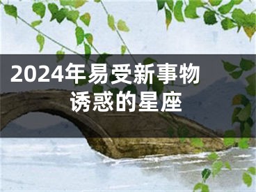 2024年易受新事物诱惑的星座