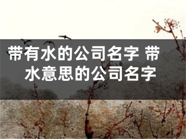 带有水的公司名字 带水意思的公司名字