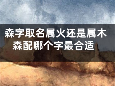 森字取名属火还是属木 森配哪个字最合适