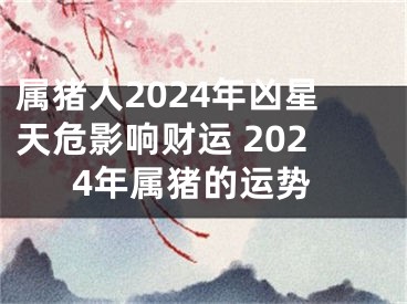 属猪人2024年凶星天危影响财运 2024年属猪的运势