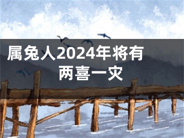 属兔人2024年将有两喜一灾