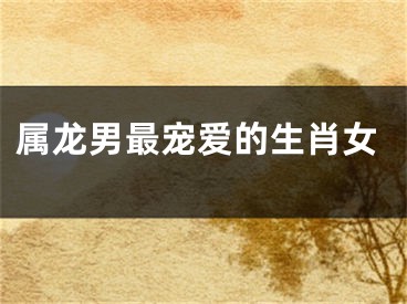 属龙男最宠爱的生肖女