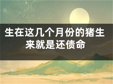 生在这几个月份的猪生来就是还债命