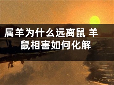 属羊为什么远离鼠 羊鼠相害如何化解