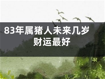 83年属猪人未来几岁财运最好