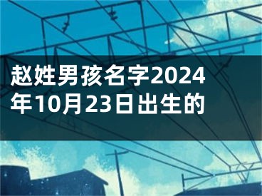 赵姓男孩名字2024年10月23日出生的