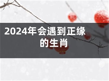 2024年会遇到正缘的生肖