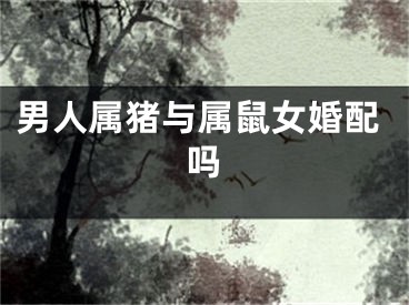 男人属猪与属鼠女婚配吗
