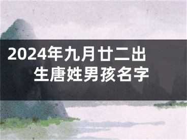 2024年九月廿二出生唐姓男孩名字