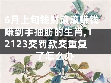 6月上旬钱财滚滚赚钱赚到手抽筋的生肖,12123交罚款交重复了怎么办