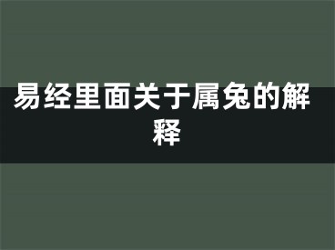易经里面关于属兔的解释