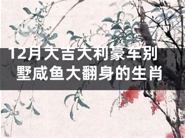12月大吉大利豪车别墅咸鱼大翻身的生肖