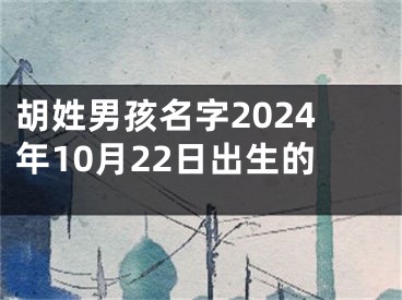 胡姓男孩名字2024年10月22日出生的