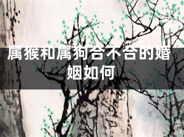 属猴和属狗合不合的婚姻如何